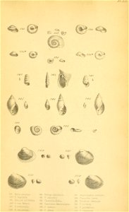 n362_w1150