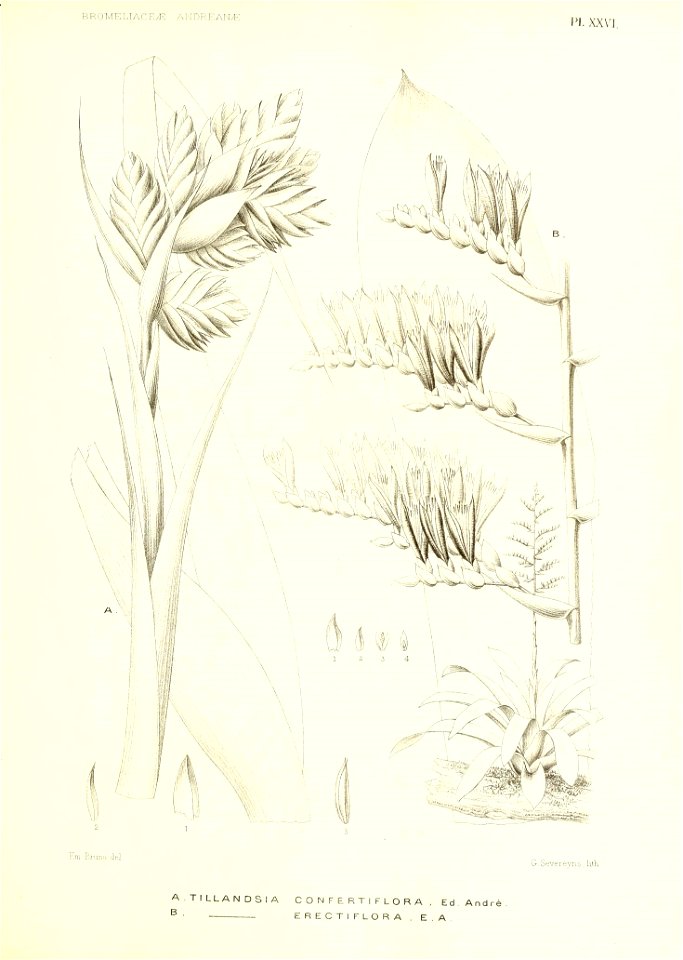 n190_w1150
