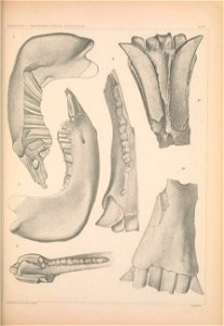 n1202_w1150