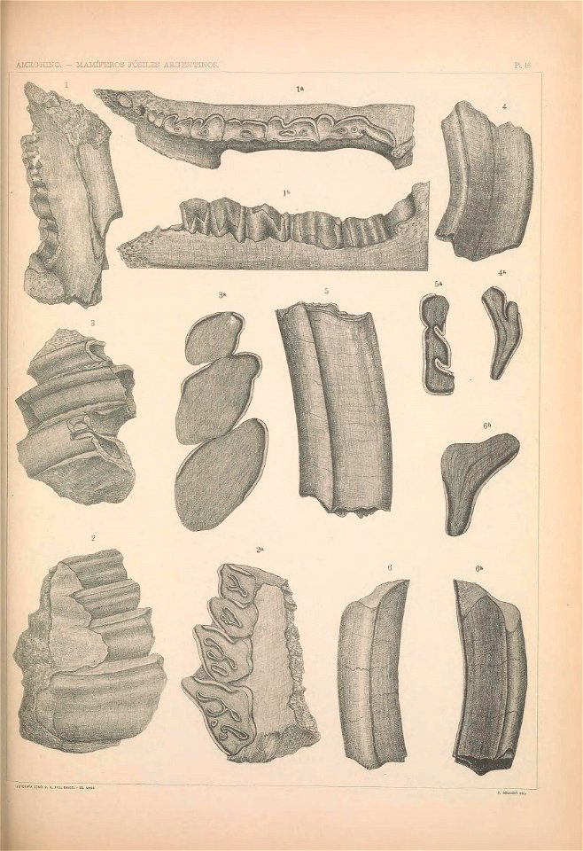 n1142_w1150