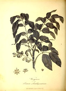 n137_w1150