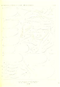 n188_w1150