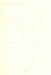 n236_w1150