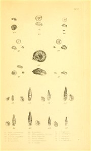 n348_w1150