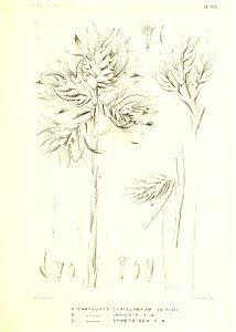 n176_w1150
