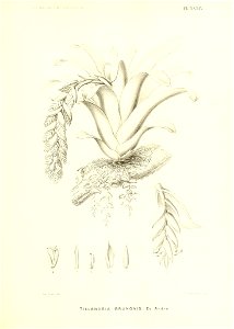 n206_w1150