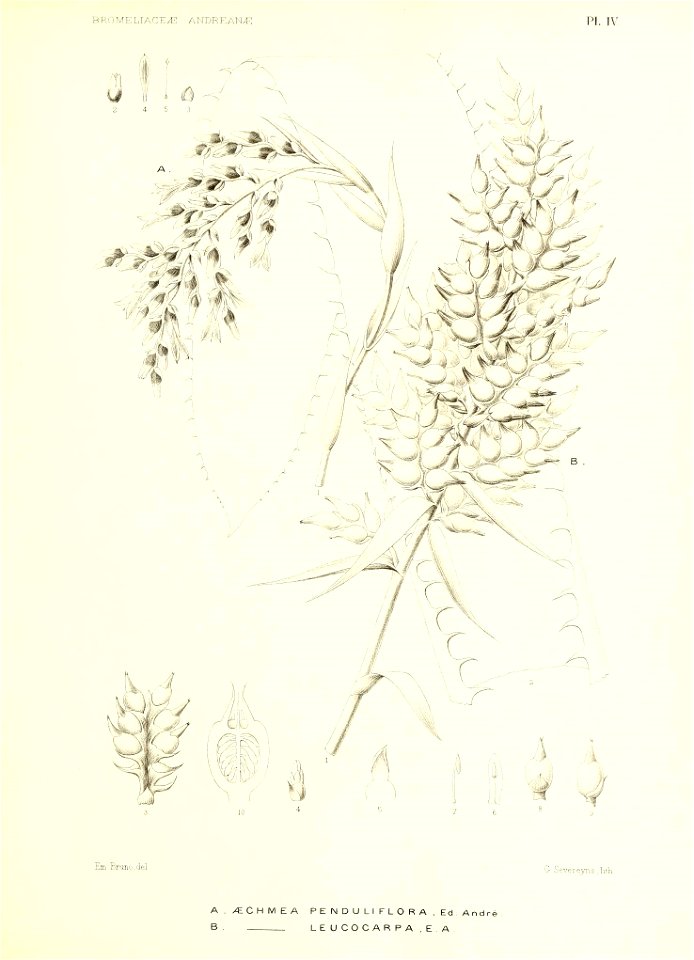 n146_w1150