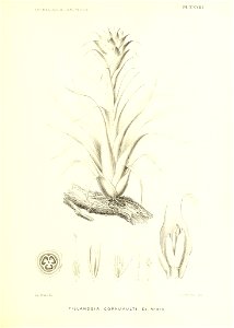 n204_w1150
