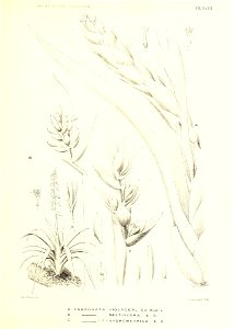 n174_w1150