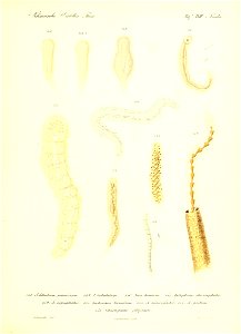 n298_w1150