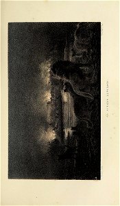 n412_w1150