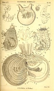 n430_w1150