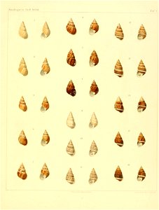 n118_w1150