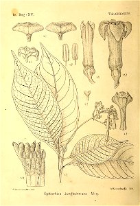 n473_w1150