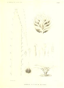 n142_w1150