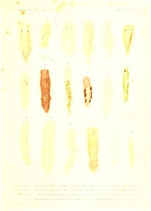 n94_w1150