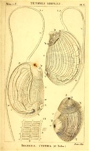 n428_w1150