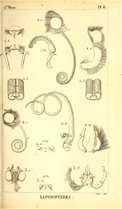 n152_w1150