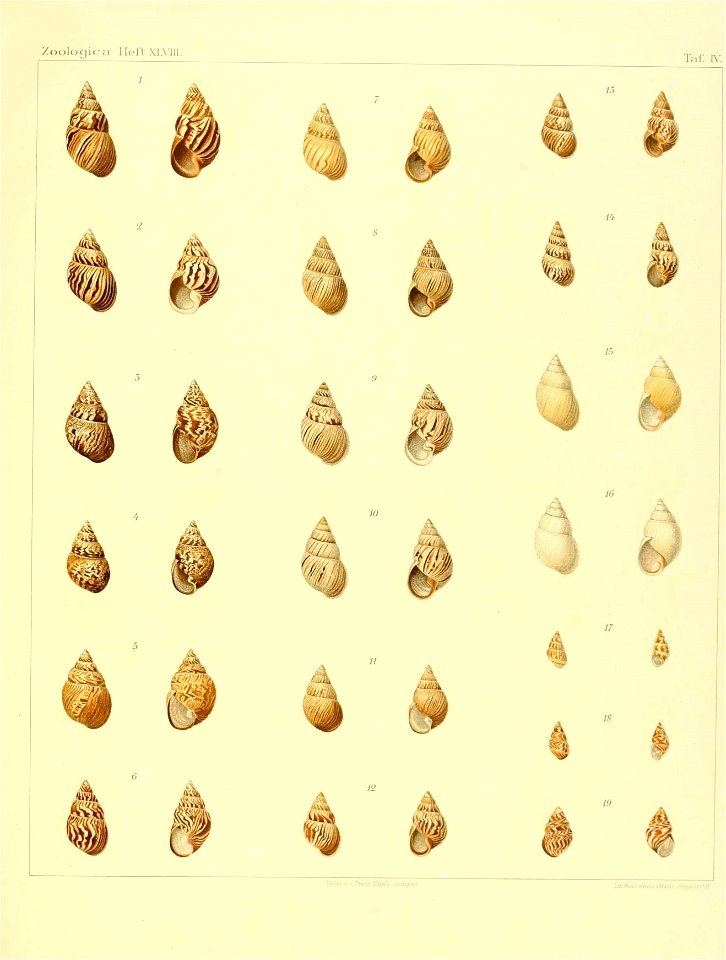 n116_w1150