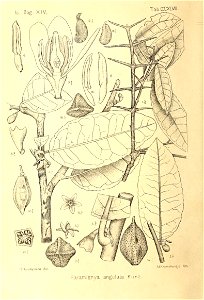 n283_w1150