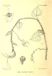 n169_w1150
