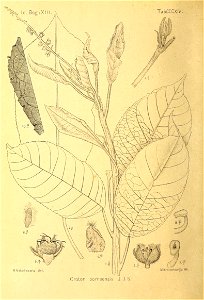 n93_w1150