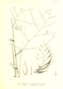 n200_w1150