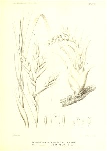 n170_w1150