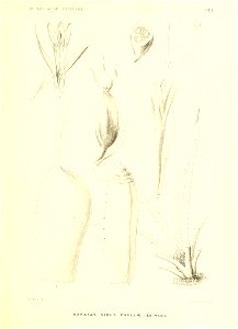 n140_w1150