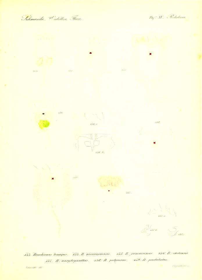 n122_w1150