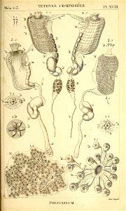 n454_w1150