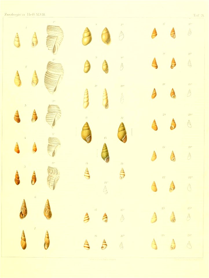 n108_w1150