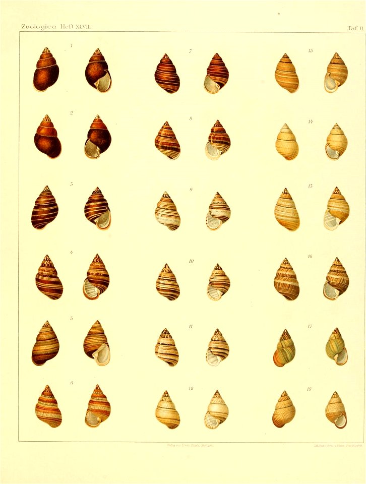 n112_w1150