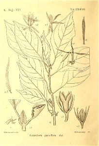n533_w1150