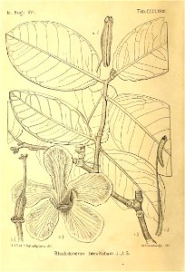 n459_w1150
