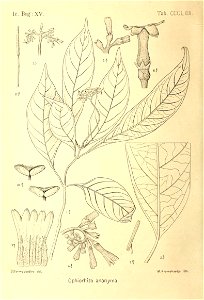 n361_w1150