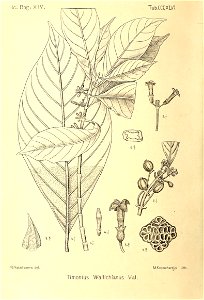 n271_w1150