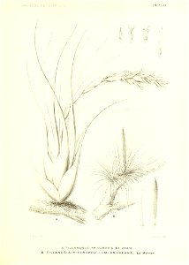 n196_w1150