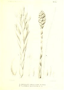 n166_w1150