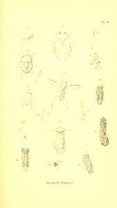 n422_w1150