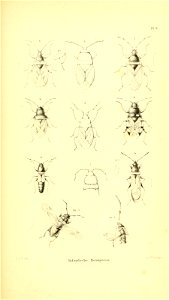 n392_w1150