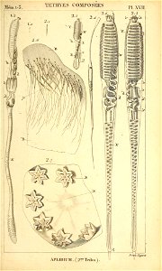 n452_w1150