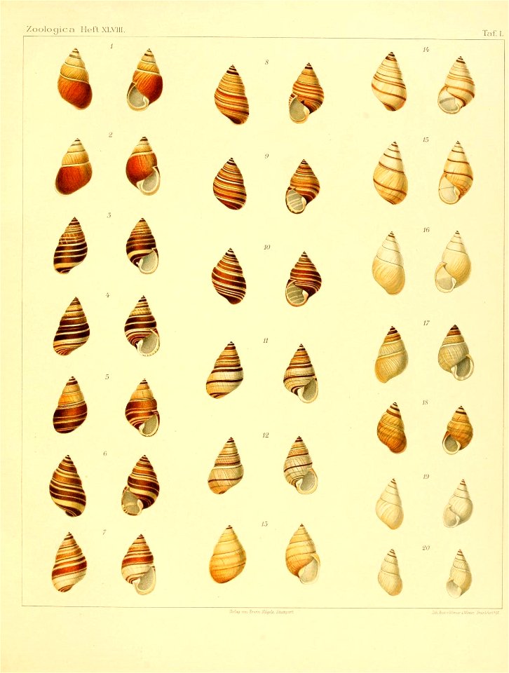 n110_w1150