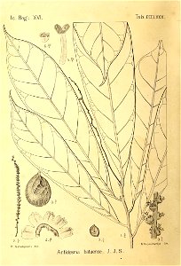 n455_w1150