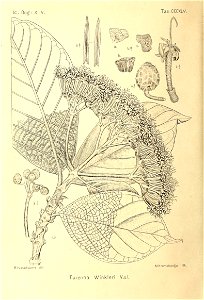 n265_w1150