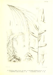n164_w1150