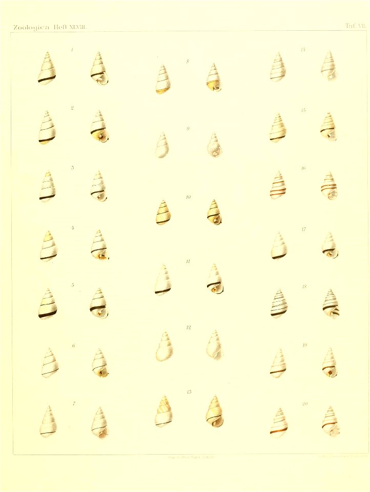 n104_w1150