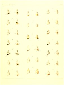 n104_w1150
