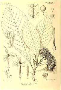 n259_w1150