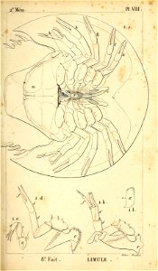 n172_w1150